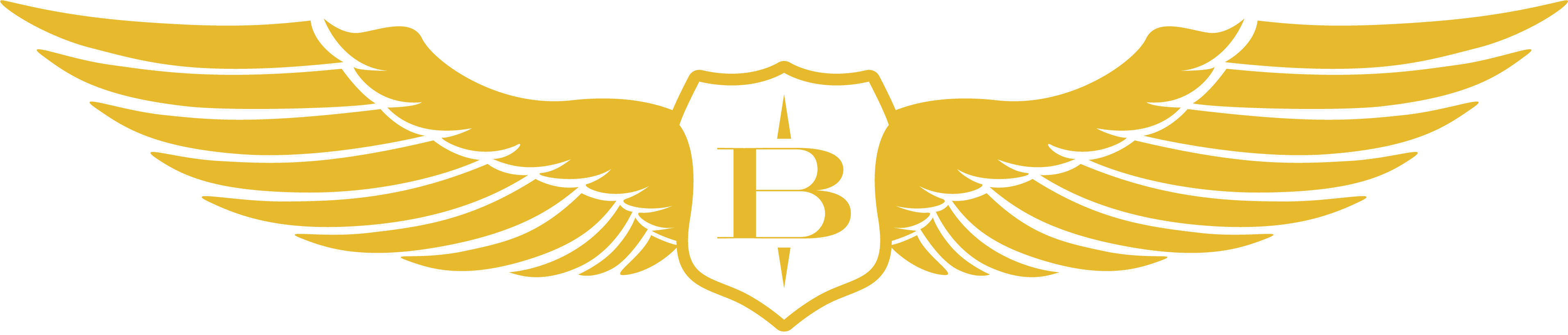 Brevet Brewing Co